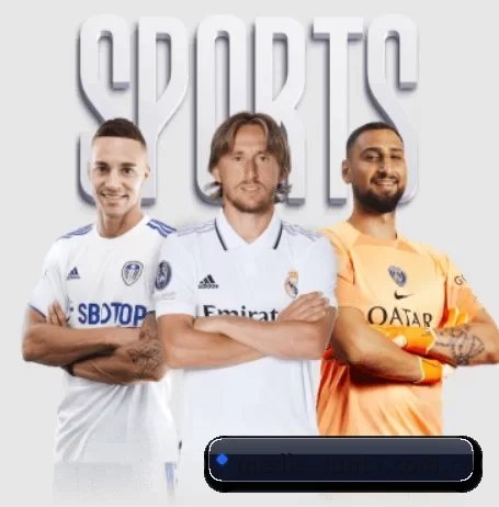 media-yunty.com.cn的方向 - yunsports